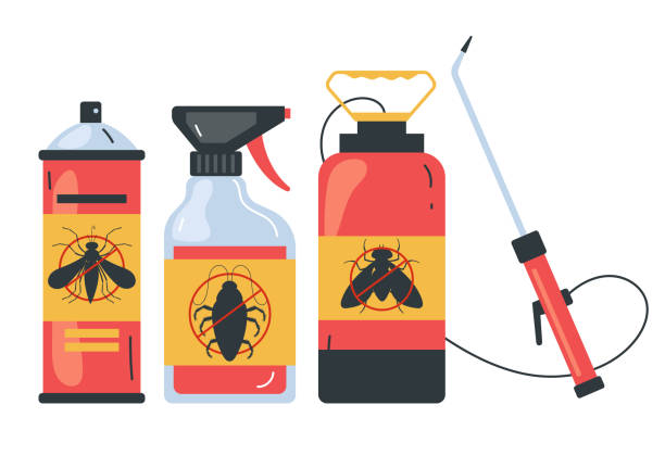 Best Spider Control Near Me  in Woods Hole, MA