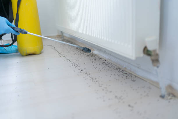 Best Emergency Pest Control  in Woods Hole, MA