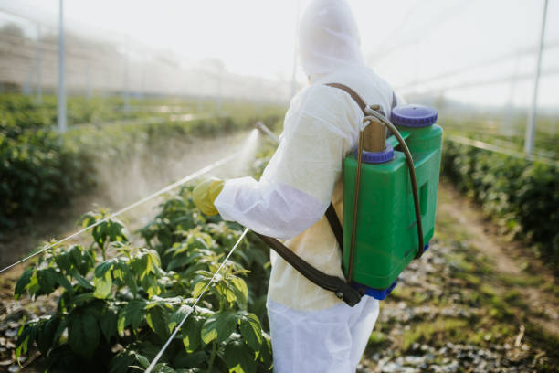  Woods Hole, MA Pest Control Pros